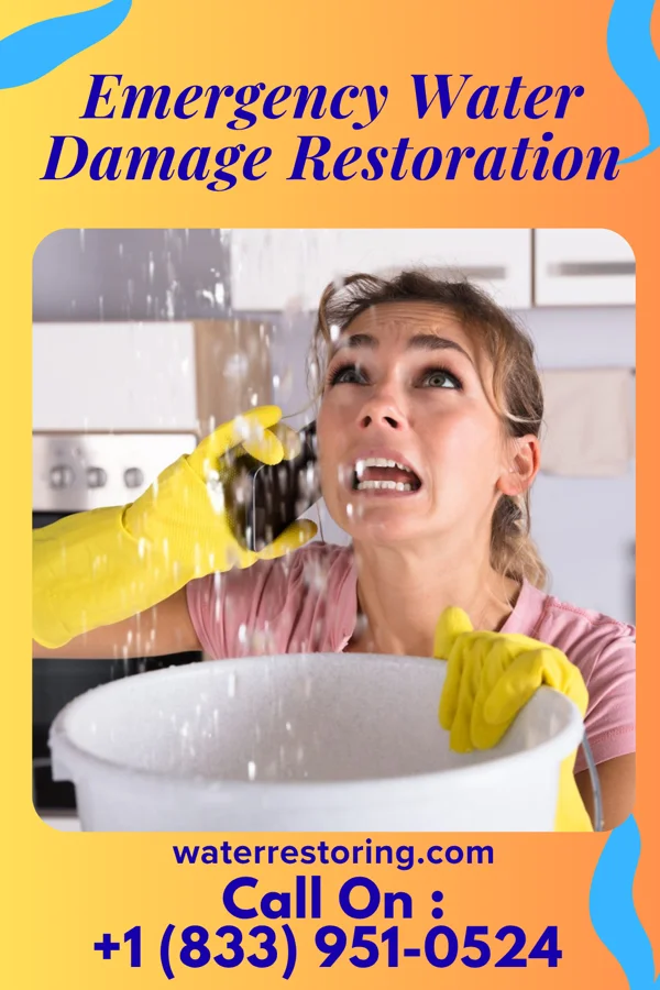 Emergency Water Damage Restoration in South Padre Island, TX